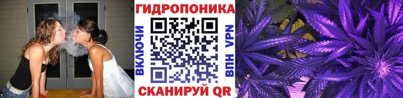 Хочу наркоту Карасук Каннабис  Псилоцибиновые грибы  ГАШ  Мефедрон  АМФ 